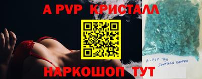 стаф Новокубанск