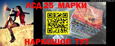 альфа пвп Новодвинск