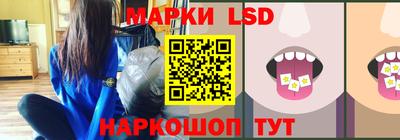 альфа пвп Новодвинск