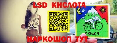стаф Новокубанск