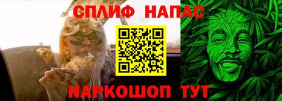 стаф Новокубанск